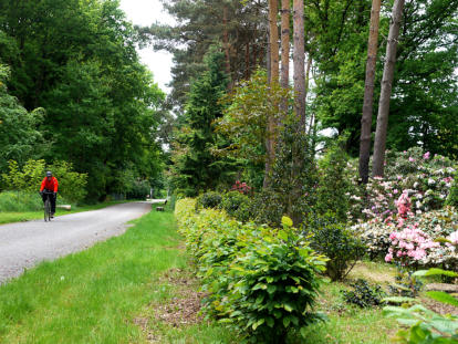 Radweg der Römer-Lippe-Route bei Wüstemeyer