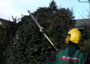 Gartenpflege 01