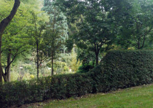 Gartenpflege 03