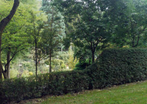 Gartenpflege 03