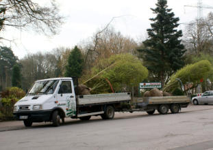 So transportieren wir die Bäume zu ihnen.